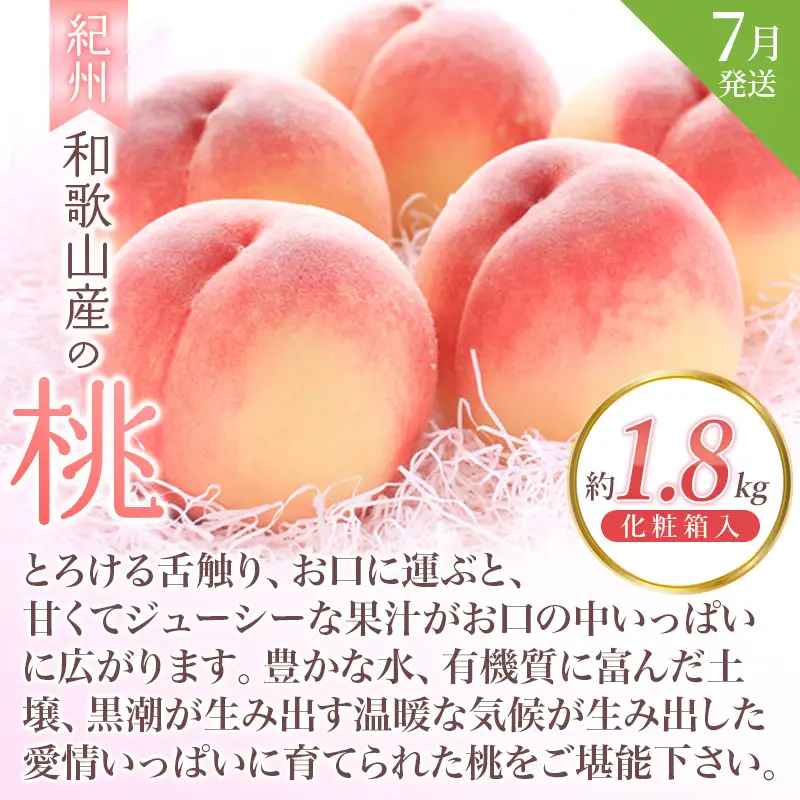 フルーツ定期便 全3回 いちご・桃・ピオーネ フルーツ【tkb401】
