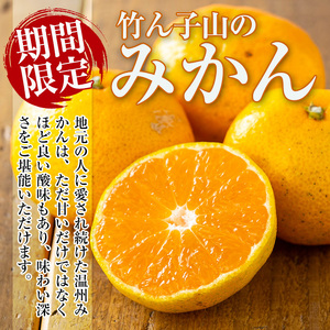 いずみ産 竹ん子山 の みかん 約5kg みかん 【イーサイドライン】 i1030
