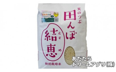 特別栽培米 10kg 白米 天のつぶ 特別栽培米 精米