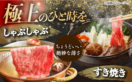 【8回定期便】  飛騨牛 プレミアム 定期便 2人前 ( しゃぶしゃぶ × すき焼き × サイコロステーキ × 焼肉 ) 各500g[TAZ047]牛肉