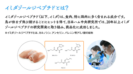 【定期便3カ月】 イミダの力 (R) パウダー 10本入り イミダゾールジペプチド 1包250mg配合 サプリ ダイエット 健康 疲労回復 イミダゾール カルノシン アンセリン バレニン マラソン スポーツ 部活 個包装 日本ハム 送料無料 [sf069-006]