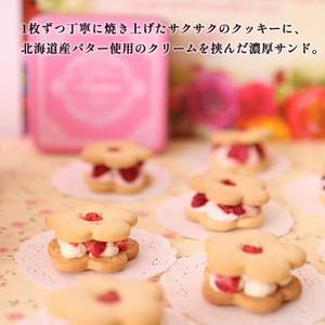 自宅用フルリール いちごフランボワーズ ギフト お花の バターサンドクッキー フルリール 2種類 8個入 数量限定  プレゼント 贈り物 洋菓子 焼き菓子 クッキー缶 バターサンドクッキー サンドクッキー バタークリーム 苺 いちご フランボワーズ 京都 舞鶴 京都府 舞鶴市