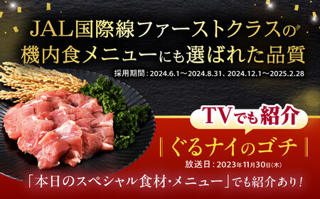 黒豚諫美豚プレミアム100 ヒレカツ用 600g / 豚肉 肉 ヒレ 黒豚 とんかつ トンカツ / 諫早市 / 株式会社土井農場 [AHAD078]
