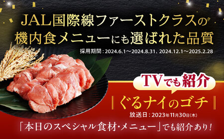 諫美豚 ヒレ肉(カツのみ) 600g / 豚肉 肉 ヒレ ひれ とんかつ トンカツ / 諫早市 / 株式会社土井農場 [AHAD080]