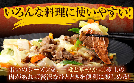 【3回定期便】長崎和牛 切り落とし 1.2kg（400g×3）肩ロース・モモ・カタ・バラ使用 / 牛肉 ぎゅうにく 肉 和牛 国産牛 切落し?/ 諫早市 / 西日本フード株式会社長崎和牛 [AHAV025]