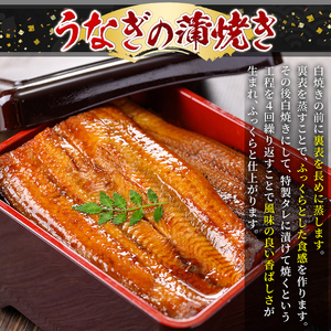 a982-E うなぎ蒲焼き&うなぎ塩麹焼き・計2尾分(1尾あたり170g～190g・最大合計340g以上)【うえの屋】姶良市 うなぎ 鰻 ウナギ 蒲焼き 蒲焼 かばやき カット タレ 塩こうじ 塩麹 焼き 鹿児島 国産 冷凍