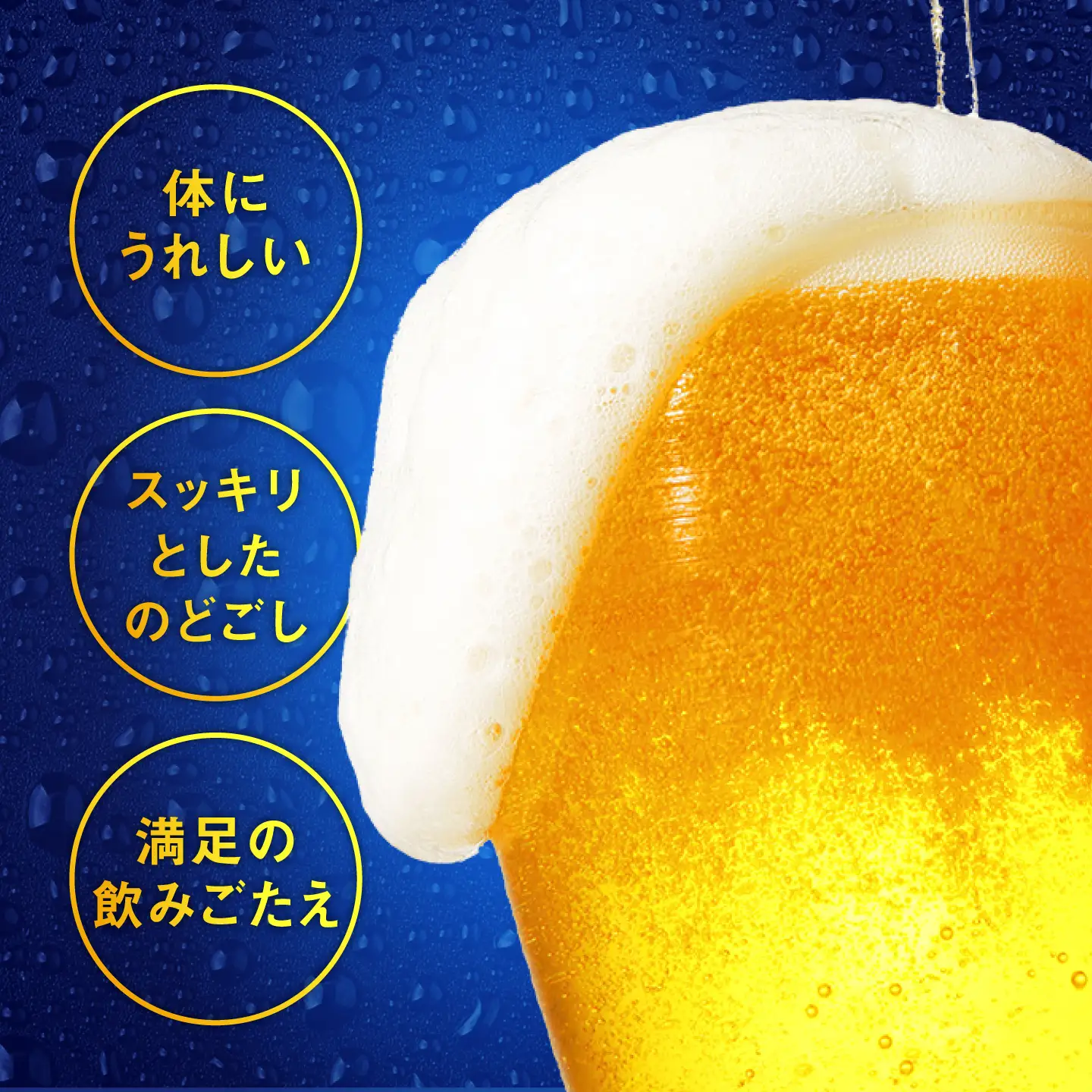 【全11回定期便】 サッポロビール 極ZERO 350ml×24缶 合計264缶  /ビール 発泡酒  糖質0 お酒 大分 日田 /[ARDC118]