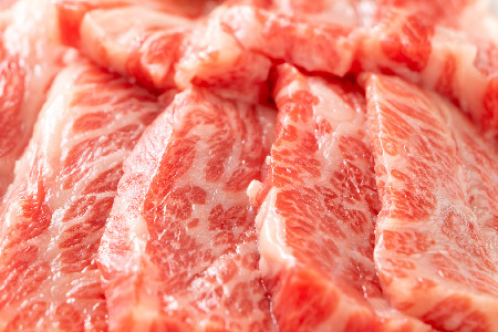 訳あり!佐賀牛焼肉切り落とし(肩ロース・バラ)500g(H112134)