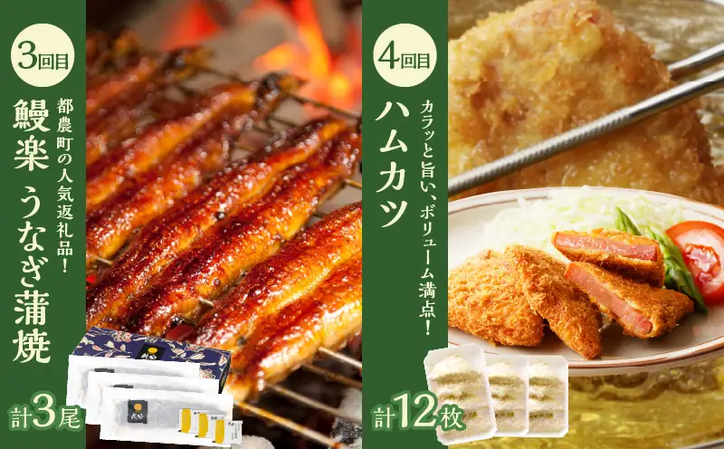 ≪6か月お楽しみ定期便≫都農町定期便(梅) 肉 加工品 デザート 国産_T999-0056