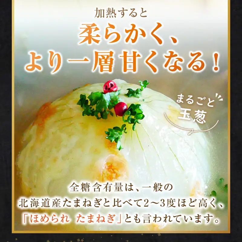  【予約：2026年9月下旬から順次発送】幻の北見黄 北海道北見産 10kg ( 野菜 たまねぎ 玉ねぎ タマネギ Lサイズ 10キロ 詰合せ )【002-0004-2026】