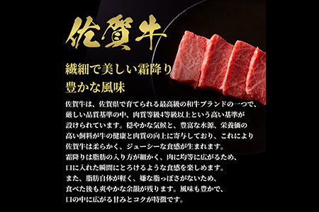 【和牛セレブ】佐賀牛 焼肉肩ロース 200g(H113101)