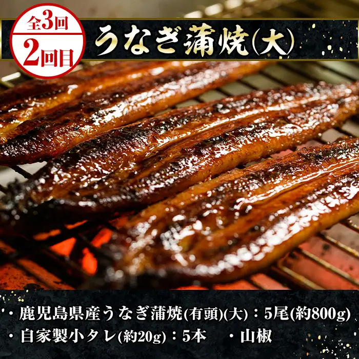 ＜3ヶ月定期便＞いちき串木野プレミアム定期便（マグロ・鰻・牛肉）【00-016-03-TK】