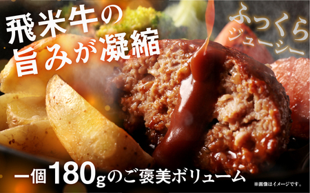 飛米牛入りデミグラスハンバーグ 180g×2枚 湯煎ハンバーグ