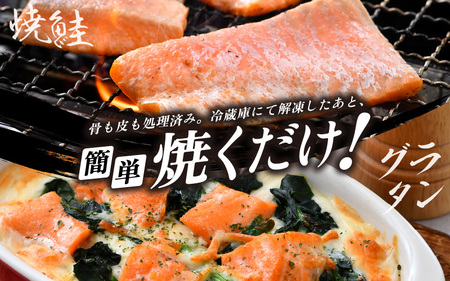 【6ヶ月連続お届け】ふくいサーモン 1kg 真空冷凍 100g× 10パック × 6回【サーモン 鮭 刺身 さけ サケ さかな 魚 人気 海鮮 海鮮食品 小分け お刺身用 生食用 生食可 低脂肪 低カロリー ヘルシー 冷凍 国産】 [O-6201]