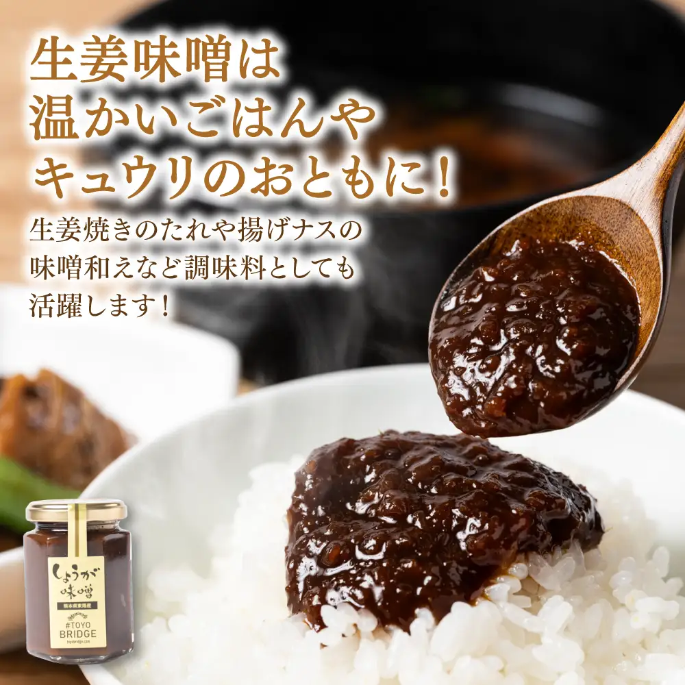 温活セット 生姜を使った加工品4点セット 生姜 温活 厳選 醤油 味噌 ふりかけ ごはんの素 熊本県産 八代市産 国産 しょうが しょうゆ みそ