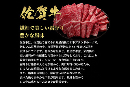【和牛セレブ】佐賀牛 焼肉ロース 250g(H113104)