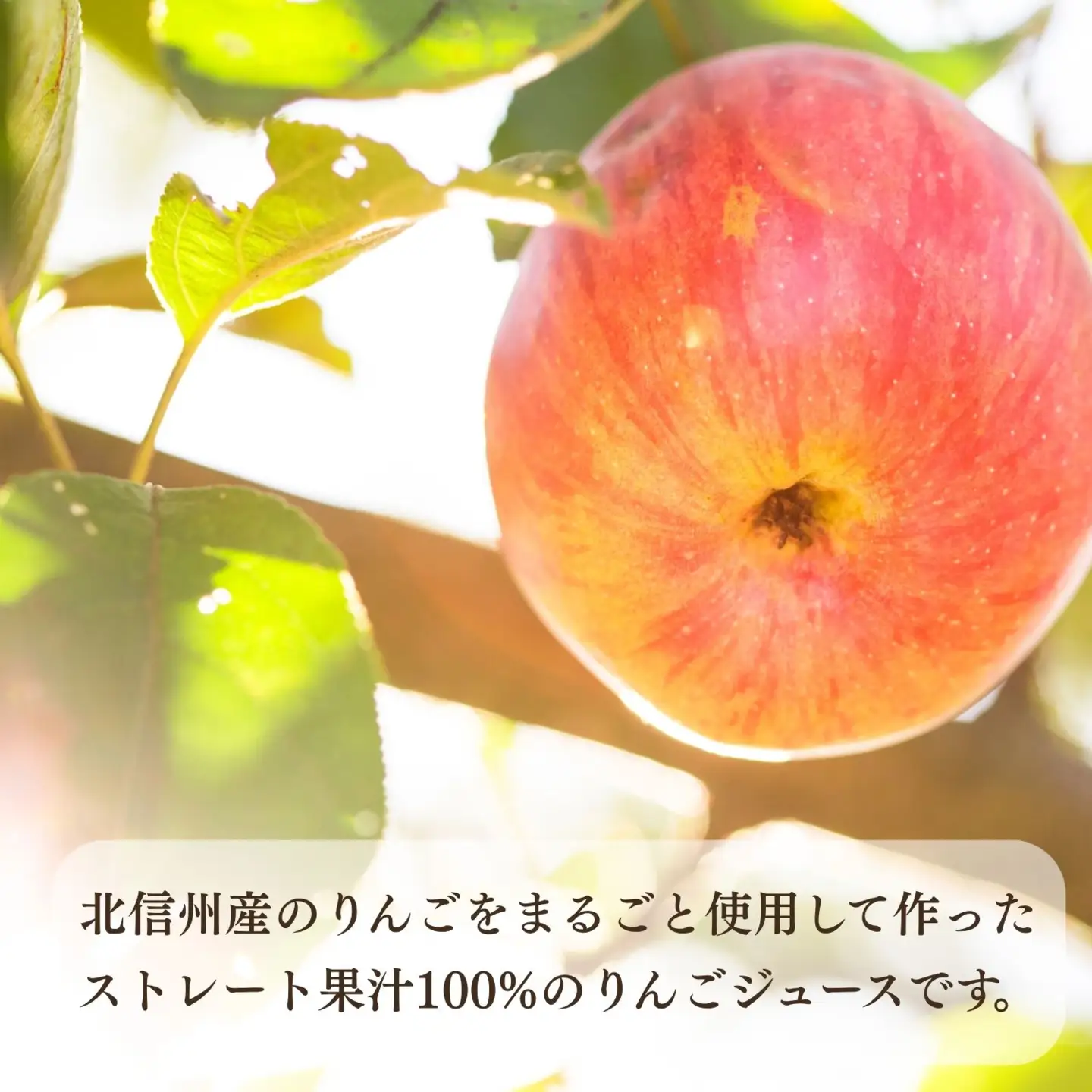 【果汁100%】りんごジュース 1L×2本 （At-001）りんごジュース