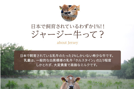 ジャージー牛乳 900ml×6本 ファームズ千代田 ジャージー牛乳 北海道   [022-38]