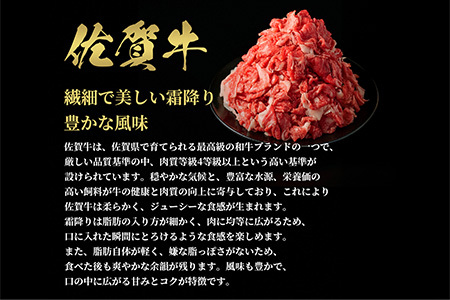 【和牛セレブ】佐賀牛 切り落とし 300g(H113116)