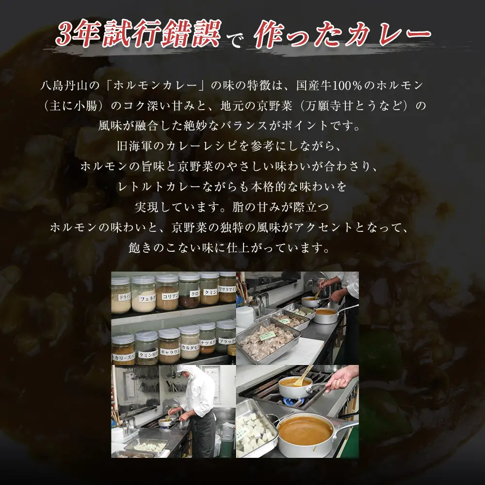 ホルモンカレー 5個 ： レトルトカレー ビーフカレー ご当地カレー