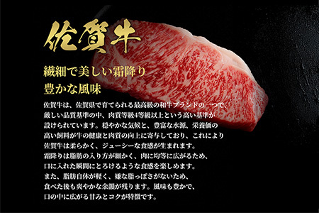 【和牛セレブ】佐賀牛 サーロインステーキ 200g×2枚(H113119)
