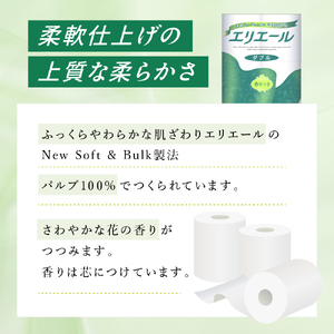 定期便 3ヵ月連続お届け エリエール ハーフサイズ 収納に便利 コンパクト 【少量3パック】 トイレットティシュー［ダブル 30m］12R×3パック（計36ロール） トイレットペーパー 紙 防災 常備品 備蓄品 定番