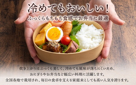 令和7年産 いなわしろひとめぼれ( 精米 ) 10kg ｜ お米 白米 福島 やわらかい 和食