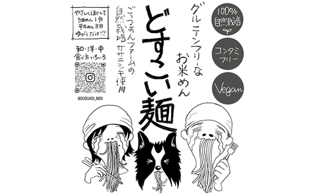 どすこい麺（グルテンフリーなお米めん）玄米アソート10個セット