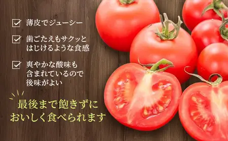 高糖度「ほれトマト」2kg　極上 ミニトマト 糖度10度以上 