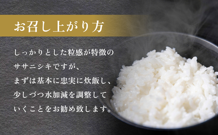 令和7年産 石巻産 ササニシキ 精米 5kg 米 お米 白米 コメ ご飯 主食