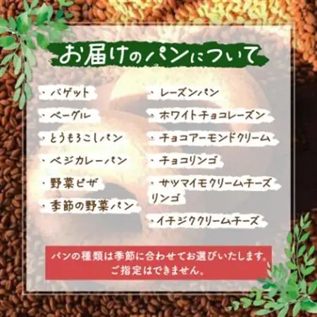 【15個入り】パン屋kotubuの自然の恵みのパンセット(大)_ パン  ぱん_【配送不可地域：離島】【1352138】