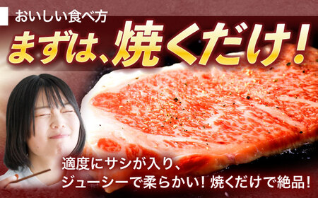 長崎和牛サーロインステーキ 約800g(200g×4枚)[OCE041]