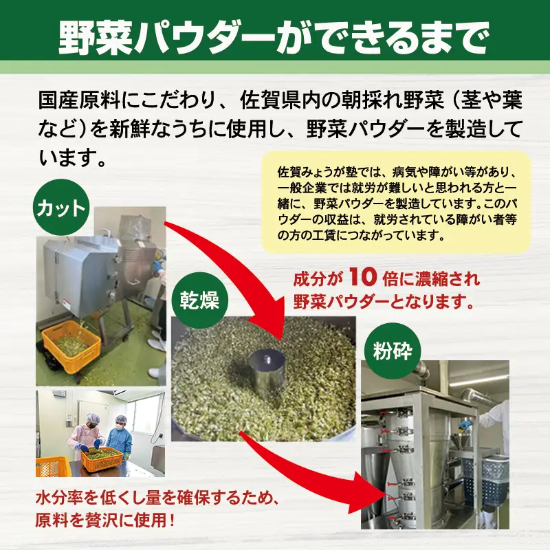 新鮮 朝採れ ブロッコリーパウダー100g 栄養補助 機能性食品 濃縮 葉酸 ビタミン 離乳食 6次化商品 お菓子作り 野菜不足 社会福祉 就労支援 佐賀県 小城市 A080-024