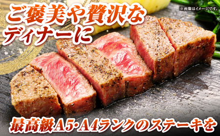 【全6回定期便】長崎和牛 ヒレ ステーキ 200g×2 《壱岐市》【KRAZY MEAT】 A5 A4 冷凍 和牛 肉 牛肉 BBQ [JER130]