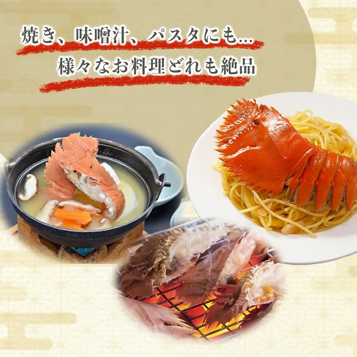 ＜数量限定＞ウチワエビ（ボイル）14匹前後 1000gセット【S247】
