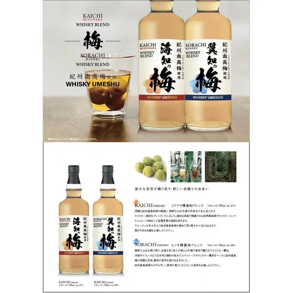 梅酒飲み比べセット 海知の梅 720ml 15% 翼知の梅 720ml 10%