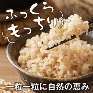 【令和8年10月以降発送新米】MS-106　大山町産こしひかり【大山の一粒】5ｋｇ（玄米）
