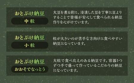 おとぷけ納豆 3種セット（3種 22パック） 【B72】 なっとう セット