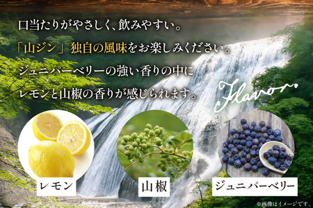 ジン 700ml 1本｜スピリッツ クラフトジン  JIN ソーダ割り GIN  [サン.フーズ 山梨県 韮崎市 20743785]
