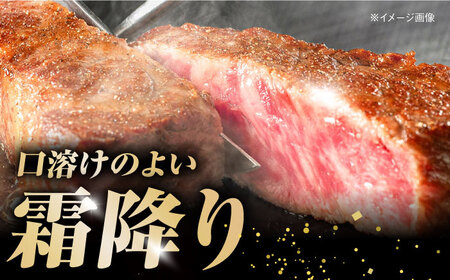 【最速発送】土佐あかうし 満喫セット　サーロイン・もも・うで・リブロース 各300g 計1.2kg / 国産 高知 和牛 牛肉 にく 肉 和牛 ステーキ　【株式会社Dorago】[ATAM044]　スピード 最短 最速 発送