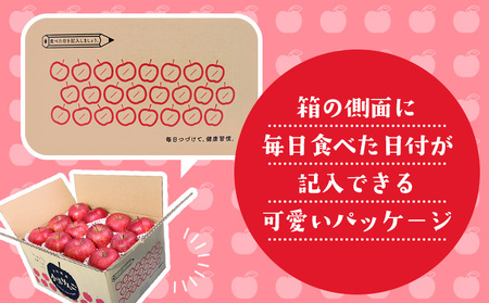 ☆フルーツ王国山形☆かわいい 小玉サンふじりんご 5kg 24玉 キュートパッケージ FZ26-807