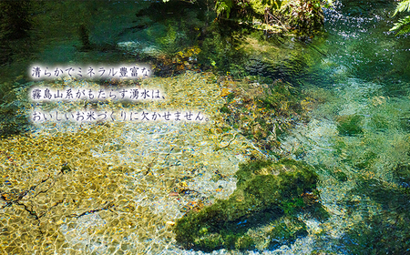 【数量限定】令和6年産 きりしまの湧水育ち 福澤ファームの高原町産ひのひかり5kg 白米 国産 宮崎県産 高原町産 使い切り ごはん ご飯 産地直送 湧水 安全 安心 12000円 1.2万円 TF0809-P00076