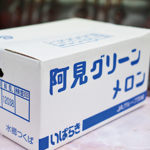 茨城県産阿見グリーンメロン5kg(3玉)【秀品4L】先行予約【JA水郷つくば】フルーツ 果物 くだもの 甘い おいしい メロン 茨城県 阿見町【2026年6月下旬より順次発送】(20-03)