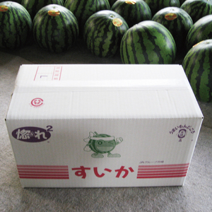 茨城県産大玉すいか2玉（1玉6～7.5kg）Lサイズ JA水郷つくば 先行予約 スイカ 西瓜 フルーツ 果物 くだもの 大玉 茨城県 阿見町【2026年6月中旬より発送予定】（20-04）