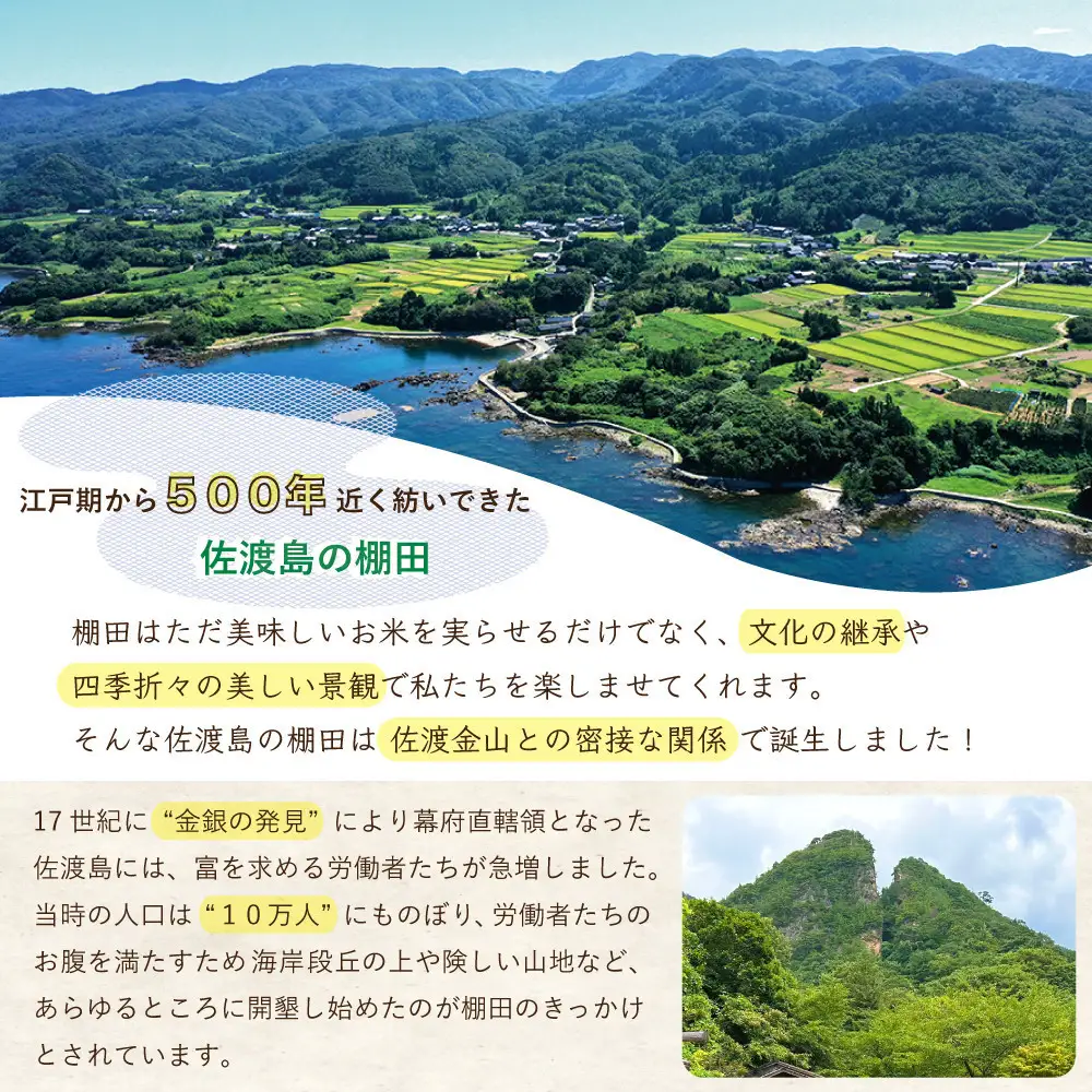佐渡島産コシヒカリ 北片辺棚田米 白米4Kg（2Kg×2袋）【令和7年産】　
