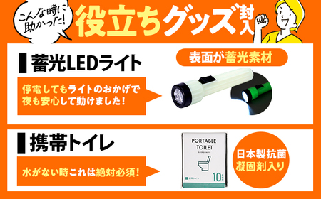 安心防災１７点セット / 防災グッズ 備蓄 備え  [BFDJ001]