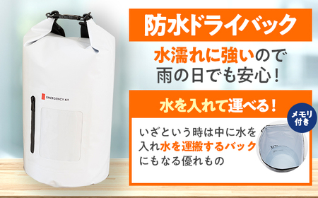 【認定防災士厳選】＼総販売数51万セット突破！／防災 31点セット 防災バック 防災グッズ 小浜市 / 岸田産業 [BFDJ003-3]