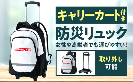 【認定防災士厳選】＼総販売数51万セット突破！／防災 24点セット 防災グッズ 防災キャリー 小浜市 / 岸田産業 [BFDJ002-1]