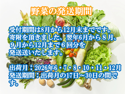 【2027年夏出荷開始・6回定期便】産地直送！旬の高原野菜セット(北海道・沖縄県・離島は配送不可) 長野 信州 無農薬 季節 新鮮 詰合せ 直送 先行予約〈2027年6月17日出荷開始～2027年12月28日出荷終了〉
