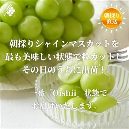 シャインマスカット 粒 約1.2kg 訳あり ぶどう 粒カット【配送不可地域：離島・沖縄県】【1568100】